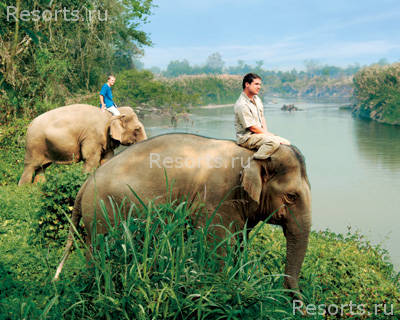 Four Seasons Tented Camp Golden Triangle 18